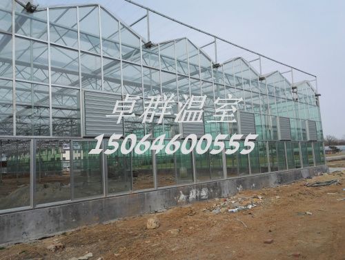 內(nèi)蒙古包頭市紋絡(luò)玻璃溫室。